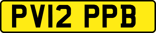 PV12PPB