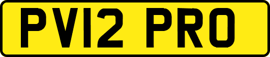 PV12PRO