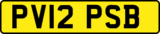PV12PSB