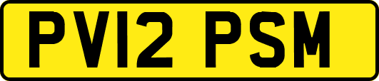 PV12PSM