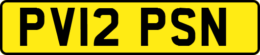 PV12PSN