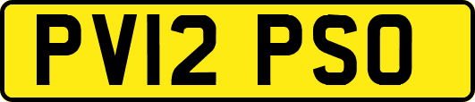 PV12PSO