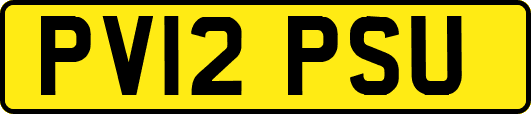 PV12PSU