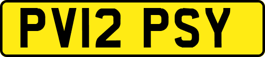 PV12PSY