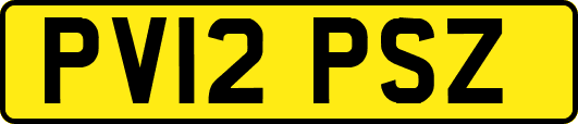 PV12PSZ