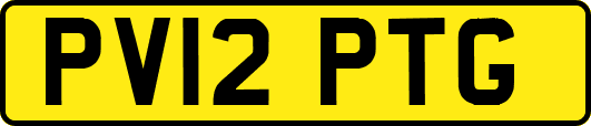 PV12PTG