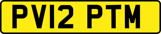 PV12PTM