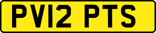 PV12PTS