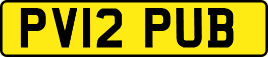 PV12PUB