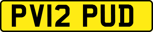 PV12PUD