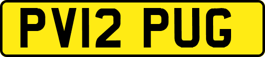 PV12PUG