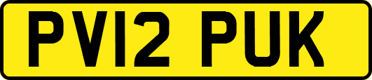 PV12PUK