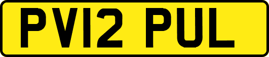 PV12PUL
