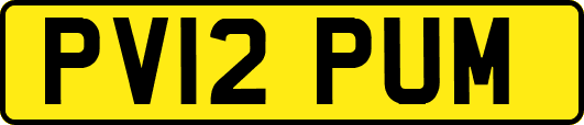 PV12PUM