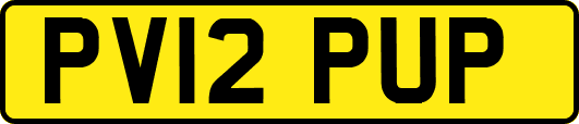 PV12PUP