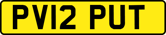 PV12PUT