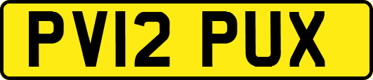 PV12PUX