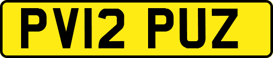 PV12PUZ