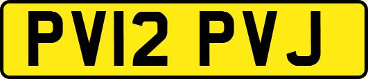 PV12PVJ
