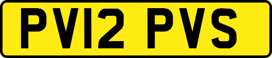 PV12PVS