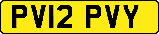 PV12PVY