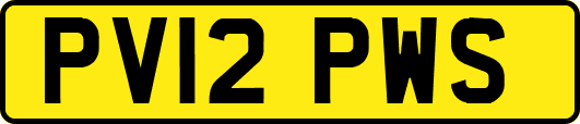 PV12PWS