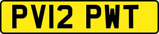 PV12PWT