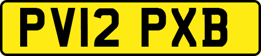 PV12PXB