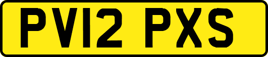 PV12PXS