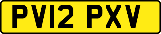 PV12PXV