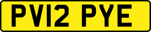 PV12PYE