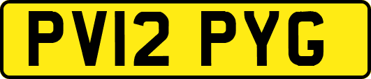 PV12PYG
