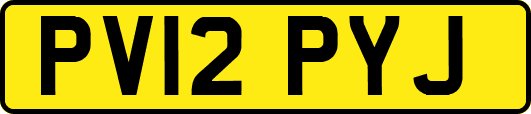 PV12PYJ