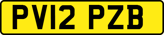 PV12PZB