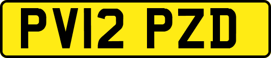 PV12PZD