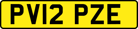PV12PZE