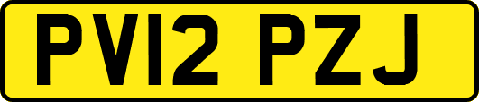 PV12PZJ
