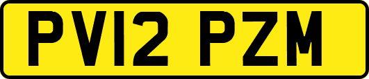 PV12PZM