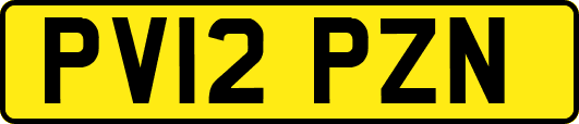 PV12PZN