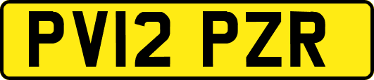 PV12PZR