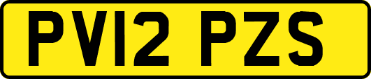 PV12PZS