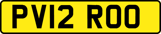 PV12ROO