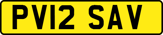 PV12SAV