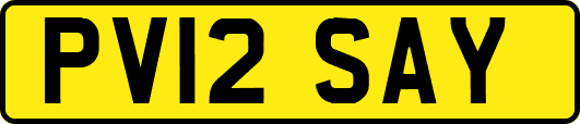 PV12SAY