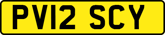 PV12SCY