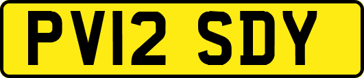 PV12SDY