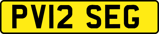 PV12SEG