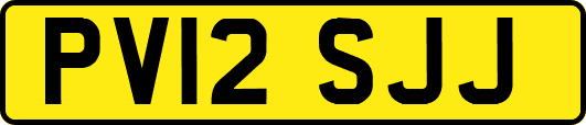 PV12SJJ