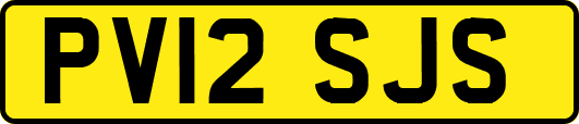 PV12SJS