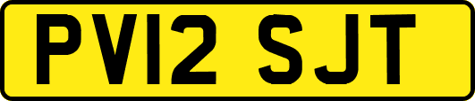 PV12SJT